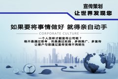 宣傳聯(lián)網(wǎng)報(bào)警服務(wù)最佳策劃方案